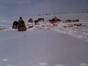 Dzieci_Tundry-12